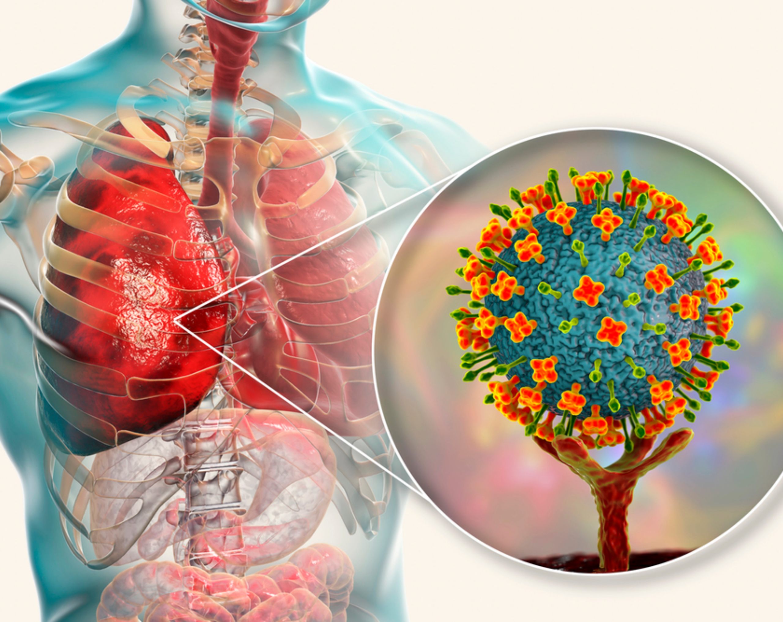 La OMS lanza una alerta mundial por el brote letal del virus Nipah en la India y amenaza con ser la próxima pandemia