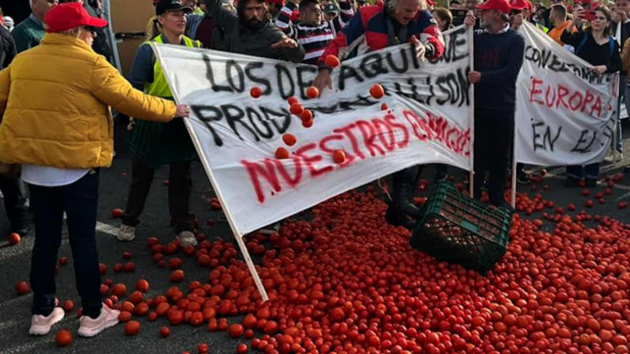 Bruselas reconoce un ‘agujero negro’ en el control de entrada de tomate marroquí