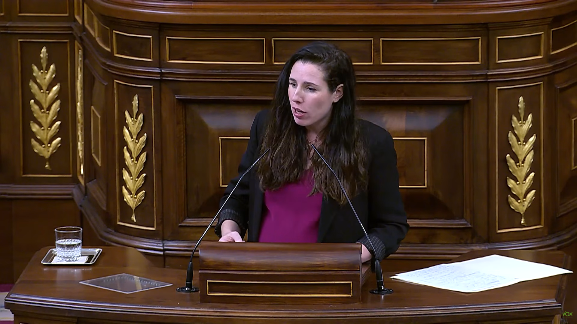 Captura de pantalla (18032)