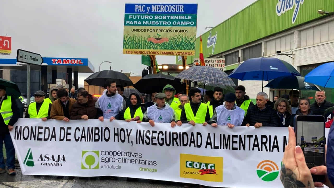 COAG desmonta las presuntas ‘salvaguardas’ de la Eurocámara sobre Mercosur