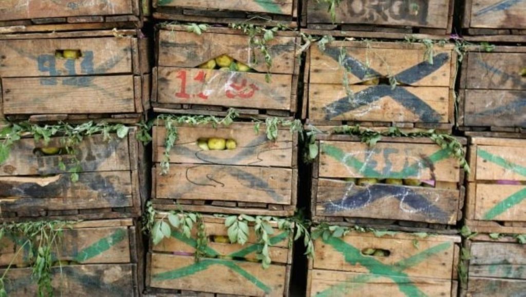 Autorizado un nuevo lote de hortalizas con neurotóxicos procedente de Marruecos
