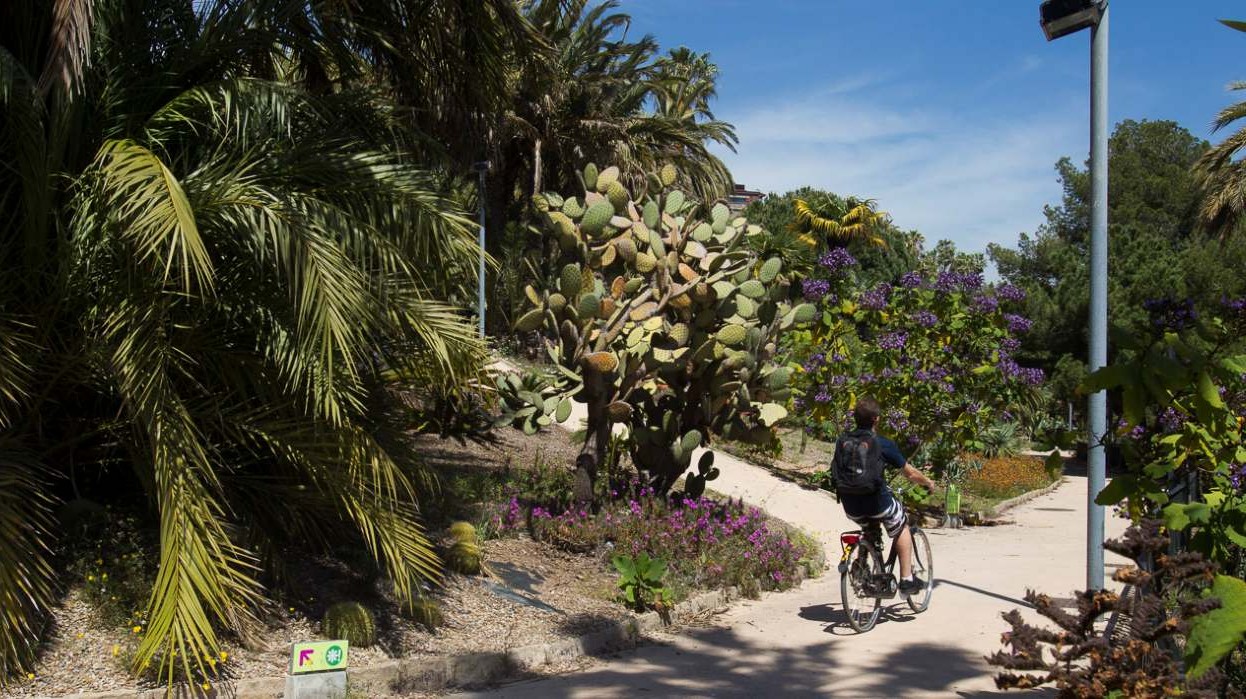 Los Mossos buscan al magrebí que violó brutalmente a una mujer en Montjuic a plena luz del día