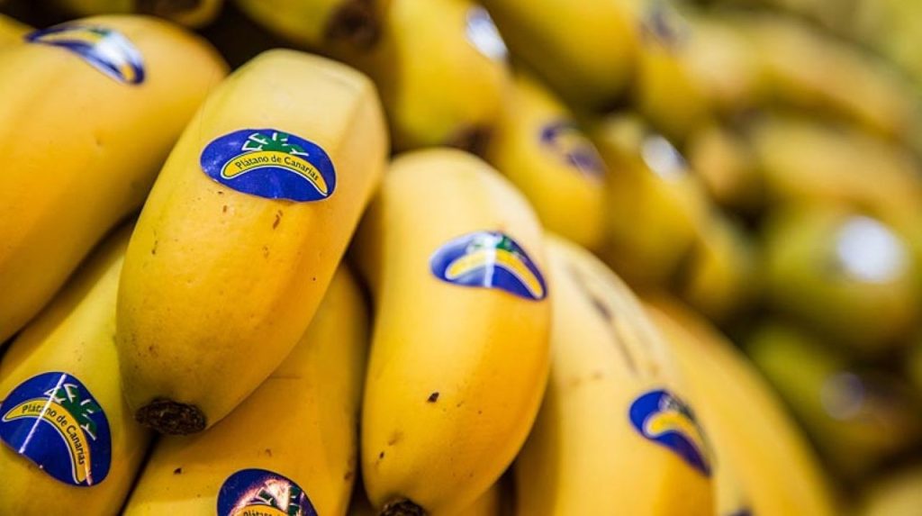 El plátano canario se hunde frente a la banana americana a golpe de precio