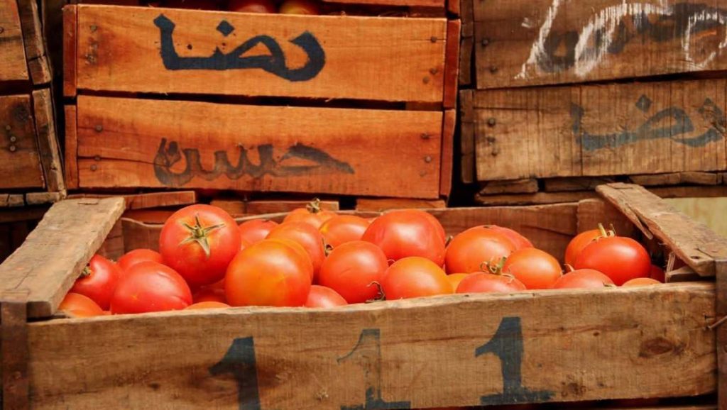 El PSOE hace negocio con Marruecos mientras el campo pierde terreno: el lobby de Pepe Blanco defendió su tomate